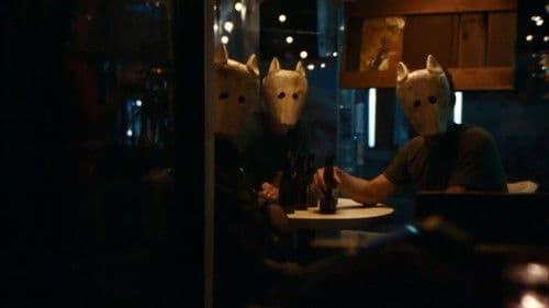 Jackals & Fireflies Bild 5