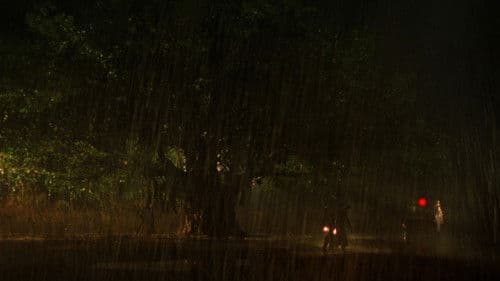 Monsoon Wedding Bild 4