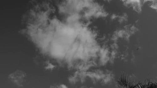 A film about nothing Bild 1