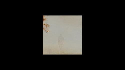 Il s'est tiré Bild 2