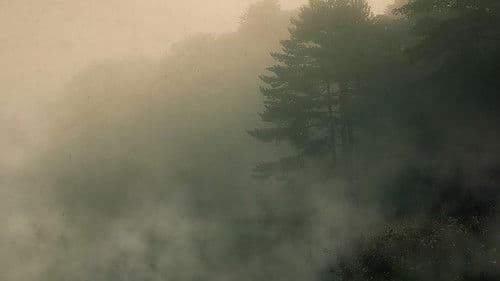 Devil in the Ozarks Bild 1