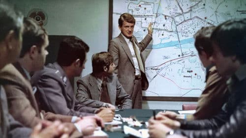 Der Tollwütige Bild 1