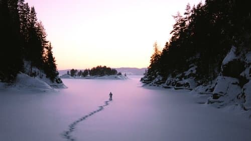 Essential Killing Bild 1