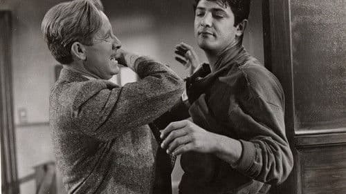 The Violators Bild 1