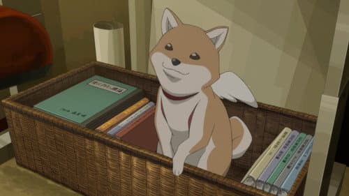 Eden of the East - Der König von Eden Bild 5