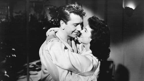 Hyänen der Straße Bild 3