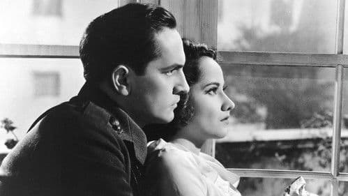 Der Weg im Dunkel Bild 6