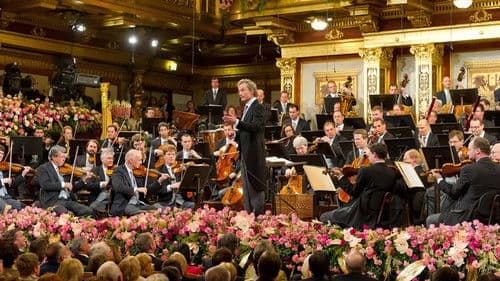 Neujahrskonzert der Wiener Philharmoniker 2013 Bild 1
