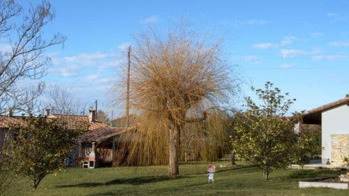 Bébé Colère Bild 1