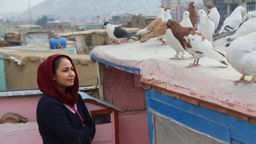 Hava, Maryam, Ayesha Bild 4