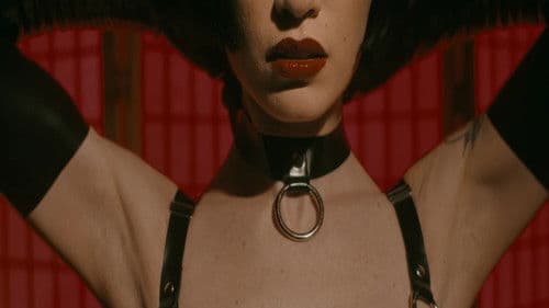 The Pleasure in Pain Bild 1