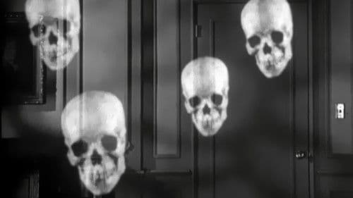 Die vier Schädel des Jonathan Drake Bild 3