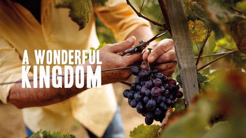 A Wonderful Kingdom Bild 1