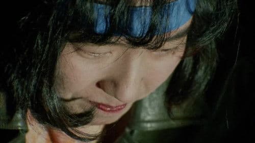 964 Pinocchio Bild 8