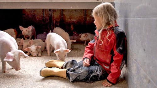 Maden flytter ind Bild 1