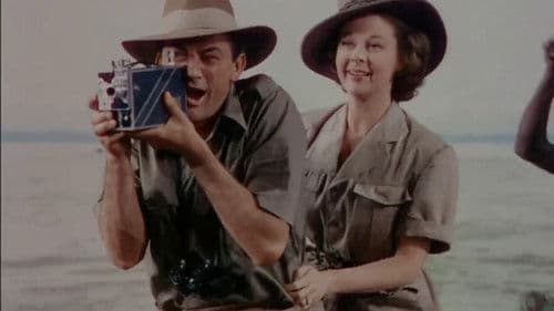 Schnee am Kilimandscharo Bild 4