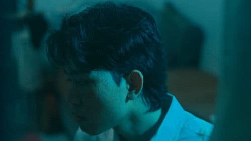 The (Echoes) of A Caged Dream Bild 1