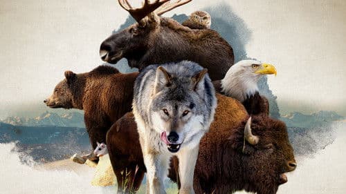 Das schöne Amerika Bild 4