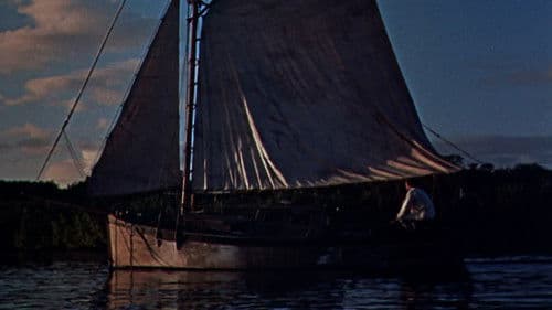 Sumpf unter den Füßen Bild 5