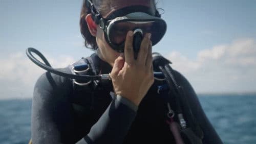 Sirenas Contra el Plástico Bild 1