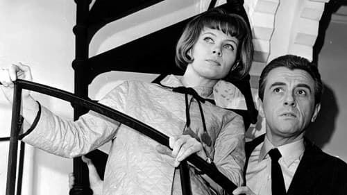 Gdzie jest trzeci król? Bild 3