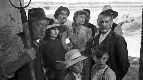 Die Mühle am Po Bild 2