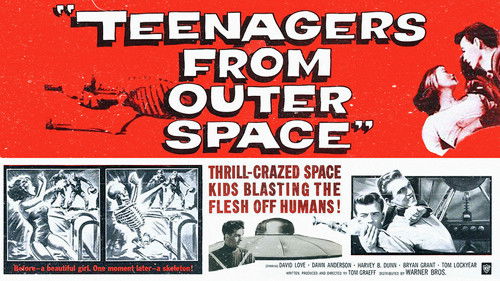 Teenagers from Outer Space Bild 3