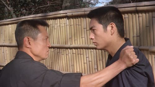 男の紋章　風雲双つ竜 Bild 1