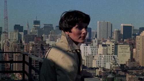 Maraschino Cherry Bild 4