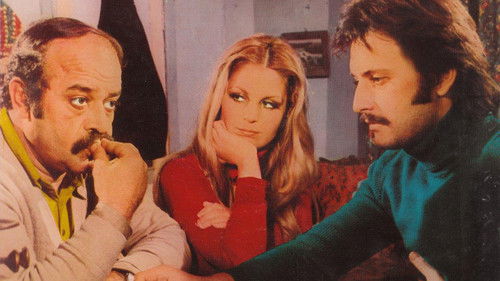 Bir Garip Yolcu Bild 1