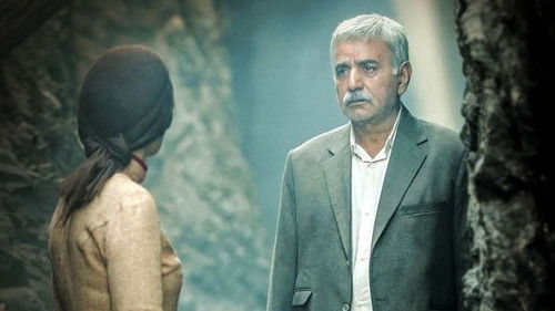 بی همه چیز Bild 2