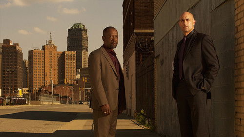 Low Winter Sun Bild 4