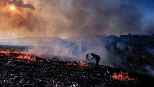 Brûlé neige Bild 1