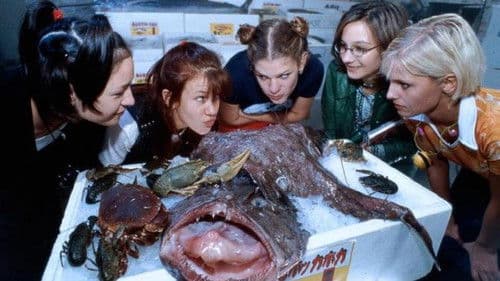 Freundinnen & andere Monster Bild 1