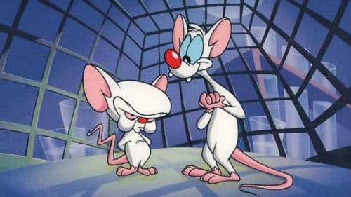 Pinky & der Brain Bild 4