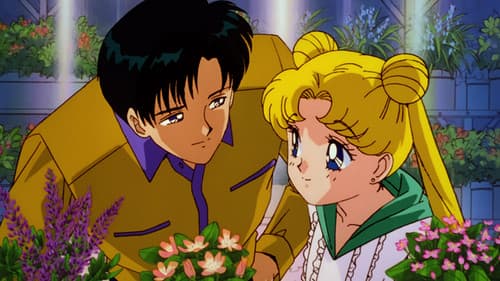 Sailor Moon R: Gefährliche Blumen Bild 3