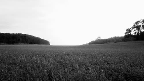 Estimada Sa Bastida Bild 5