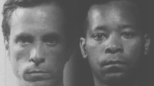 Black & White Study Bild 1