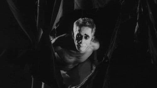 തമ്പു് Bild 2