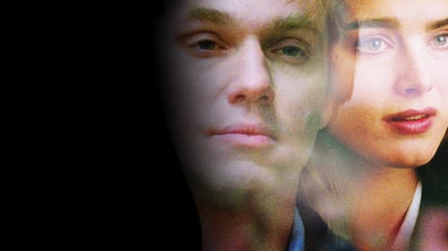 Lauras Schatten Bild 7