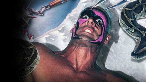 WCW Halloween Havoc 1992 Bild 3