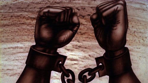 Свіччине весілля Bild 4