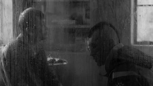 伤寒杂病论 Bild 6