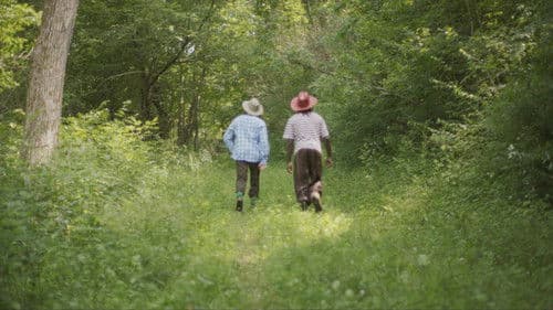 Boys at Twenty Bild 1