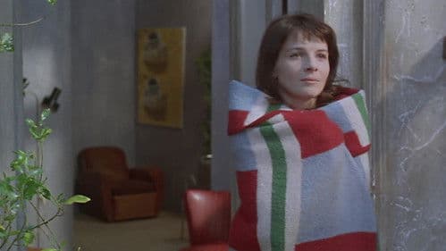 Eine Couch in New York Bild 4