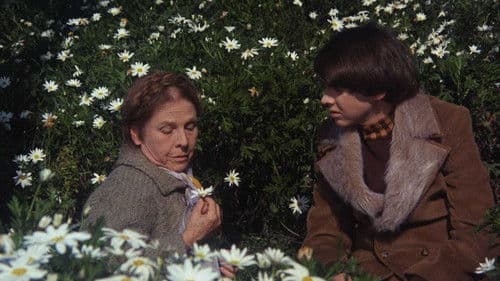 Harold und Maude Bild 8
