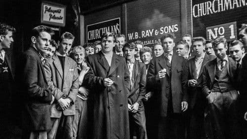 Außer Rand und Band Bild 2