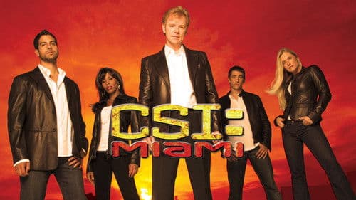 CSI: Miami Bild 5