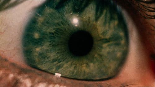 Blutgericht in Texas Bild 7