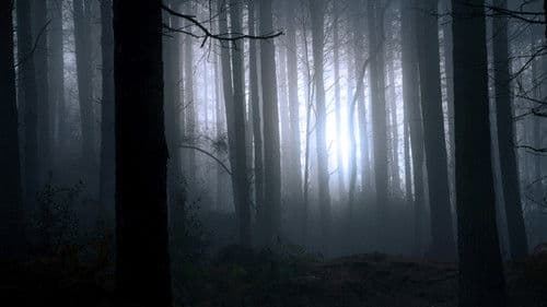 Finding Bigfoot Bild 1